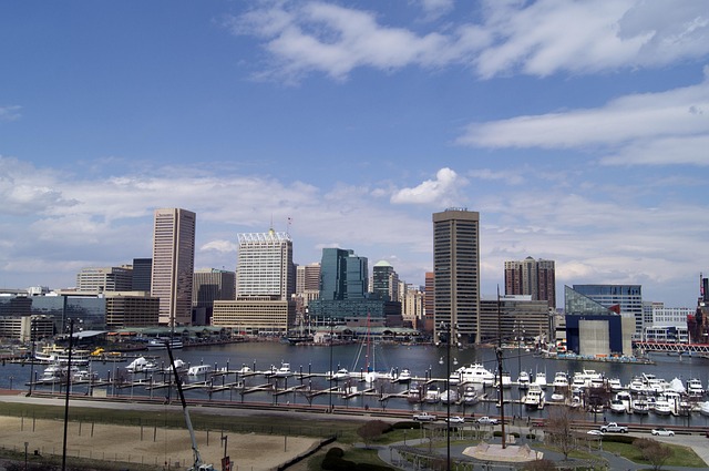 Softball in Baltimore