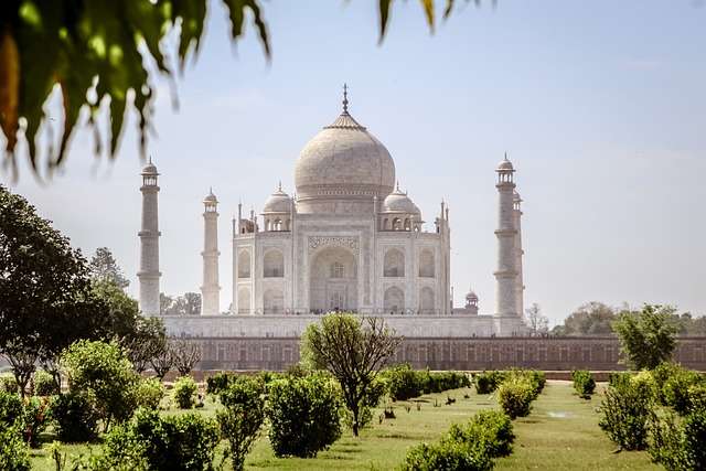 Baseball in India - culture, history, and development.