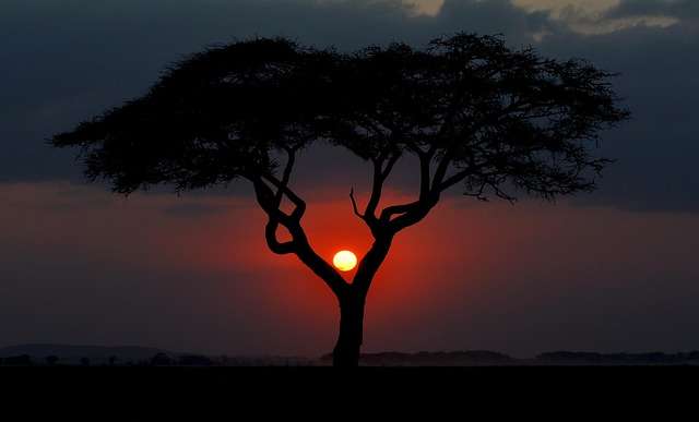 Baseball in Kenya - culture, history, and development.