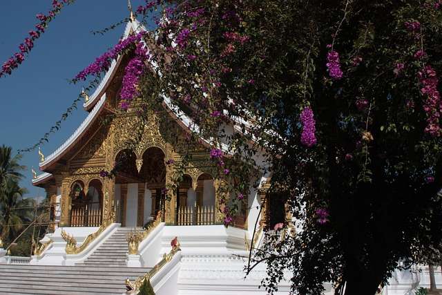 Baseball in Laos - culture, history, and development.