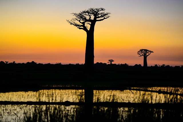 Baseball in Madagascar - culture, history, and development.