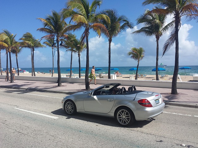 Softball in Miami