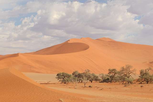 Baseball in Namibia - culture, history, and development.
