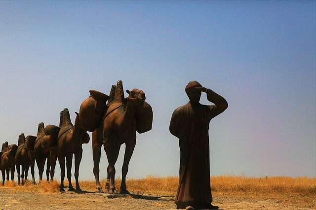 Baseball in Qatar - culture, history, and development.