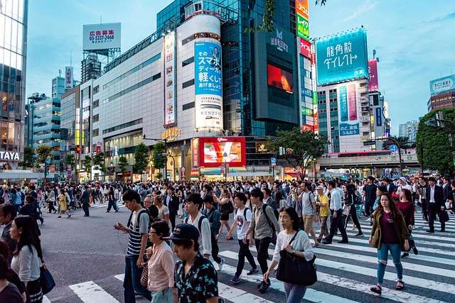 Baseball in Tokyo - culture, history, and development.