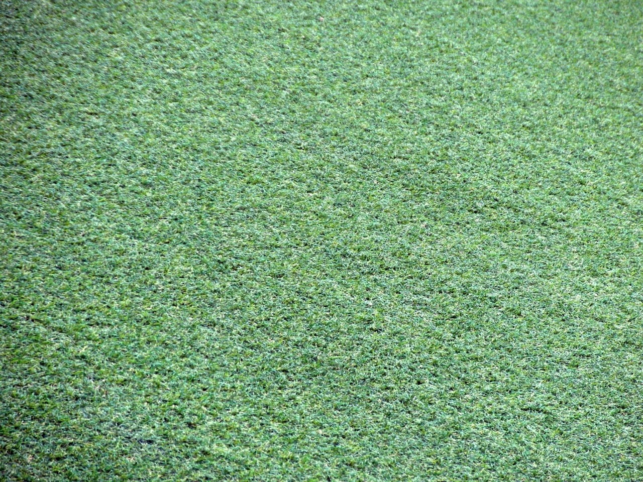 How Astroturf Changed Baseball